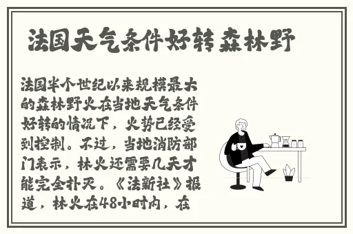 亚洲精品日韩另类中文字幕